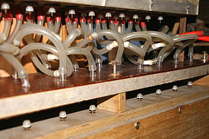 organ_repair_4.jpg