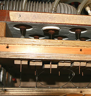 organ_repair_5.jpg